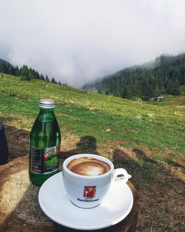 Milmari Resort - Apartman L43 Kopaonik Bagian luar foto