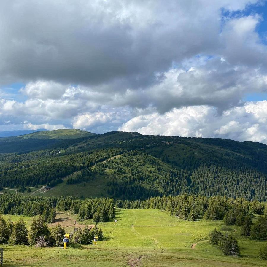 Milmari Resort - Apartman L43 Kopaonik Bagian luar foto