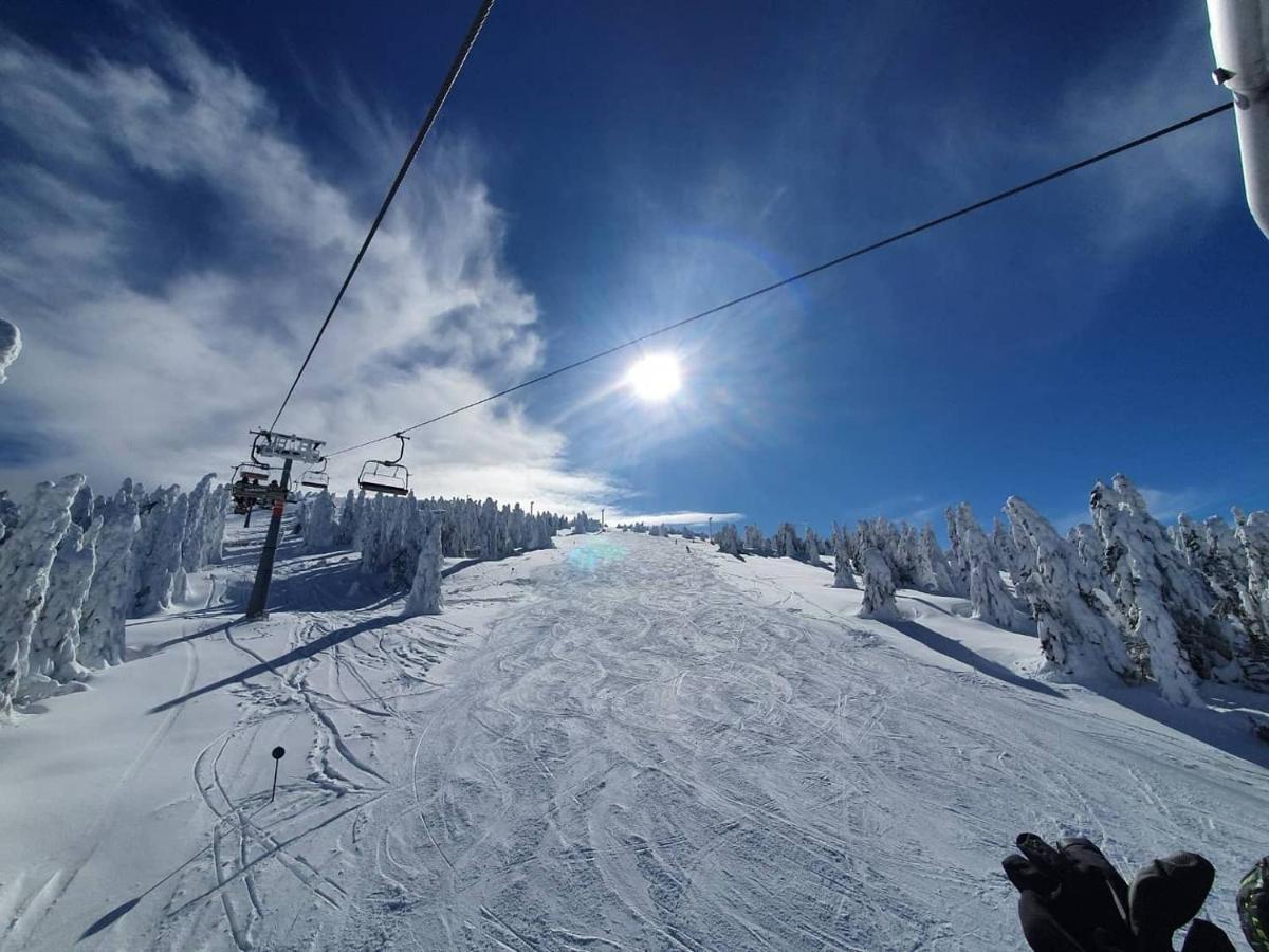 Milmari Resort - Apartman L43 Kopaonik Bagian luar foto